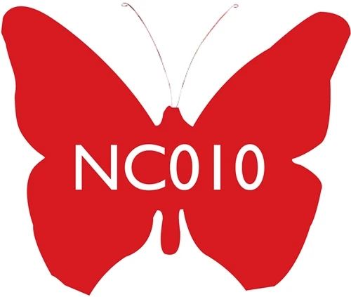 Scarva Nano Colours NC010 Poppy Ceramic Glaze & Body Stain From £9.27