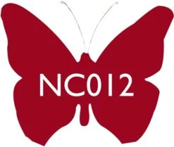 Scarva Nano Colours NC012 Ruby Ceramic Glaze & Body Stain From £9.27