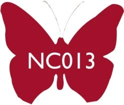 Scarva Nano Colours NC013 Raspberry Ceramic Glaze & Body Stain From £9.27