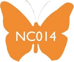 Scarva Nano Colours NC014 Mandarin Ceramic Glaze & Body Stain From £4.58