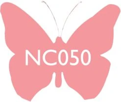 Scarva Nano Colours NC050 Salmon Ceramic Glaze & Body Stain From £5.20