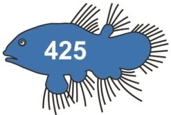 Scarva HFC425 Kingfisher Blue Stain From £9.74