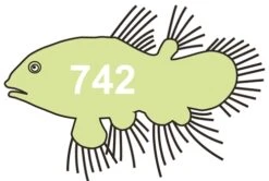 Scarva HFC742 Eider Green Stain From £4.87