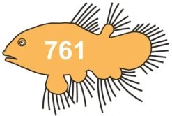 Scarva HFC761 Teal Orange Stain From £6.57