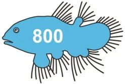 Scarva HFC800 Discus Blue Stain From £4.89