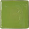 Botz 9348 Spring Green  £7.43