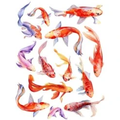 Sanbao Studio Carp Overglaze Decal  £11.83