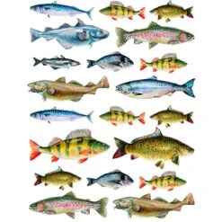 Sanbao Studio Lake Fish Overglaze Decal  £11.83