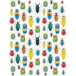 Sanbao Studio Rainbow Bugs Overglaze Decal  £11.83