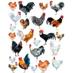 Sanbao Studio Rooster Overglaze Decal  £11.83