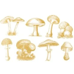 Sanbao Studio Wild Mushroom Overglaze Decal  £8.03